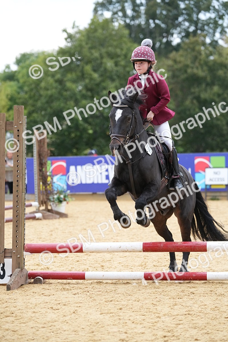 SBM_74567 - J4 - Mini Tour Junior Pony 45cm Championship