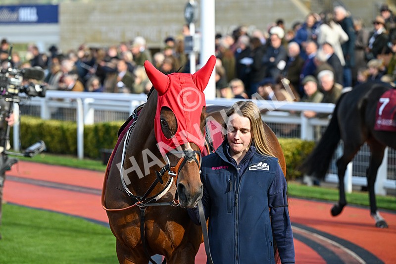 241025-Race 3-Liverpool Knight-2860 - Race 3