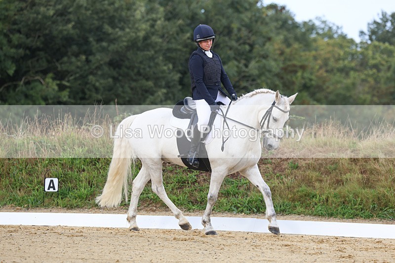 3E7A1963 - Class 1: Intro 4 2024 section A