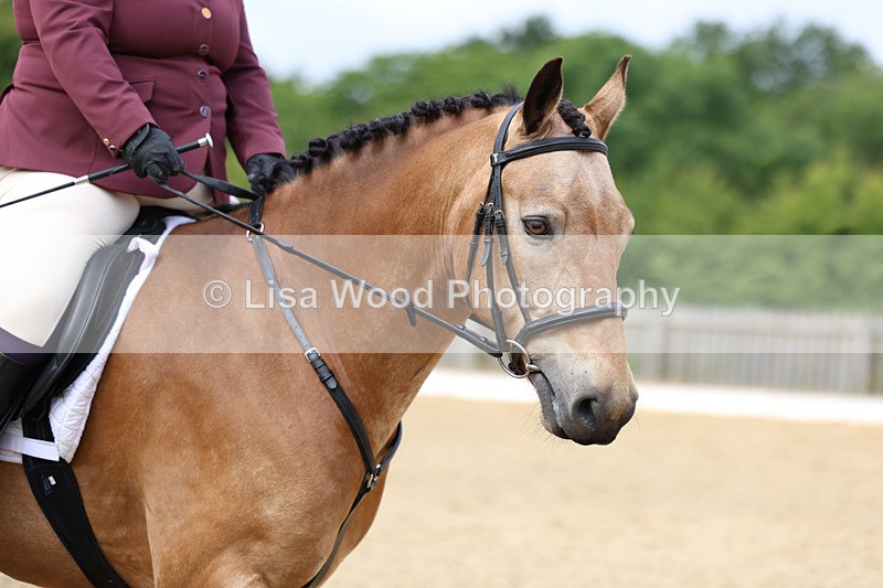 3E7A9135 - Class 2: Intro 1 2024 Section B