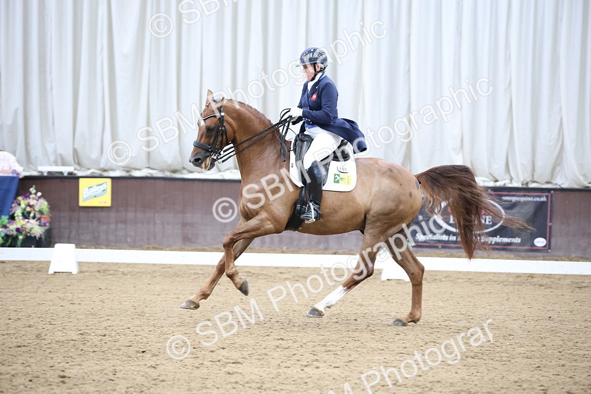 SBM_004752 - Class 9 - FEI Inter 1 Gold - 16.59-17.47