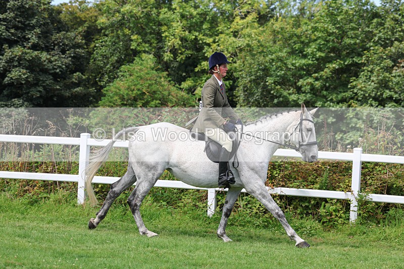 3E7A8657 - Class 5: Working Show Horse