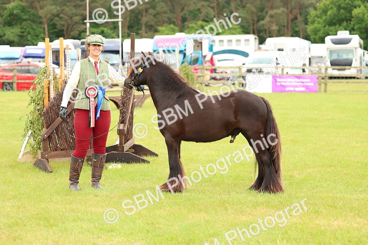 SBM_06354 - Class 39-41 TGCA In Hand and Ridden