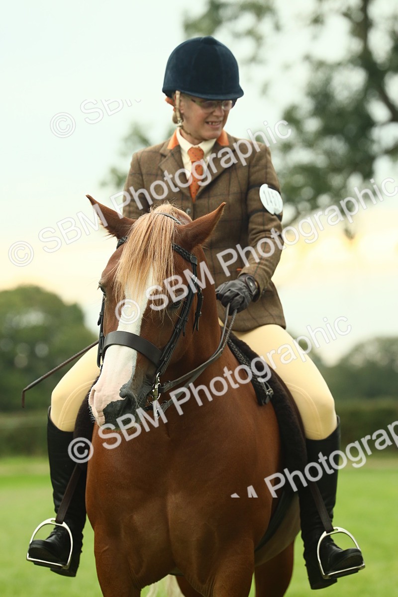 SBM_72272 - S60 - Mountain & Moorland Ridden Large Breeds