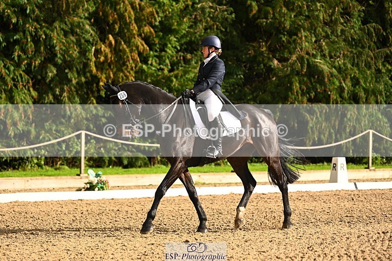 231021-153241-20889 - 259-BOSTON.IV-Rosie.Thomson-DR