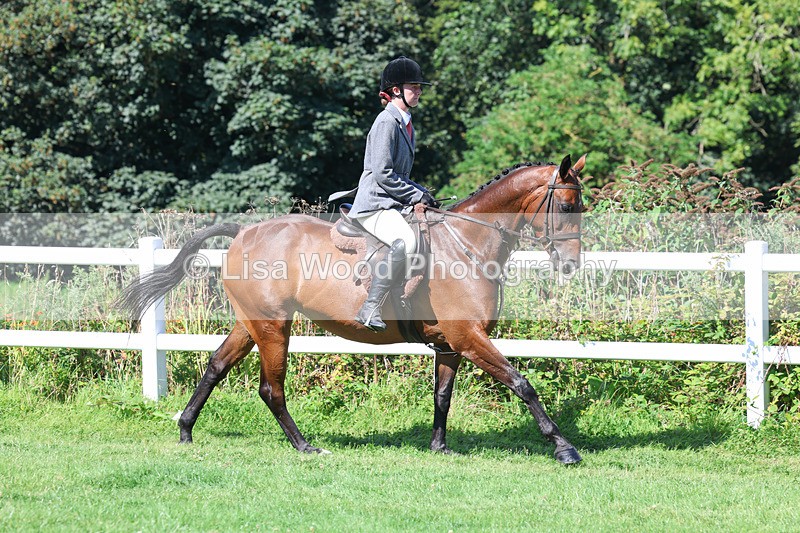 3E7A8355 - Class 4: Novice working Hunter