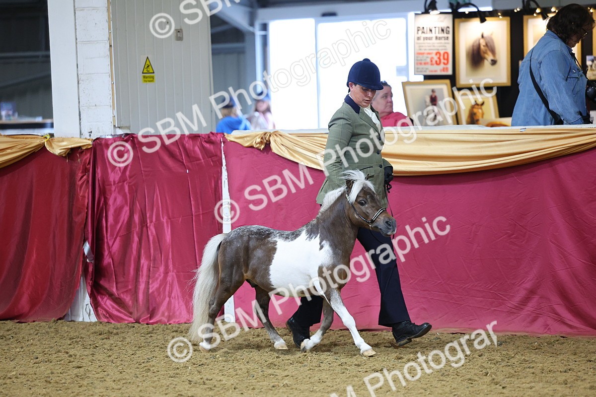 SBM_22818 - Class 903 - Supreme Final - IH Pre Vet