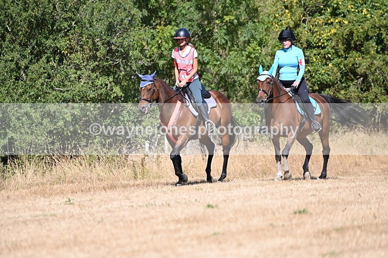 WJ6_8265 - Time 11:24 to 11:29