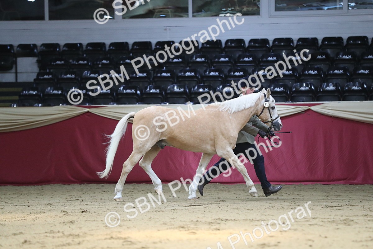 SBM_04385 - Class 7R Regional - IH Diamond