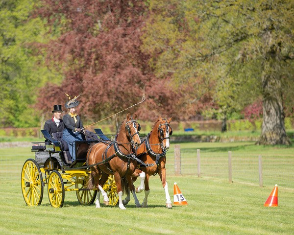 Attelage -630 - CIAT Glamis 2026