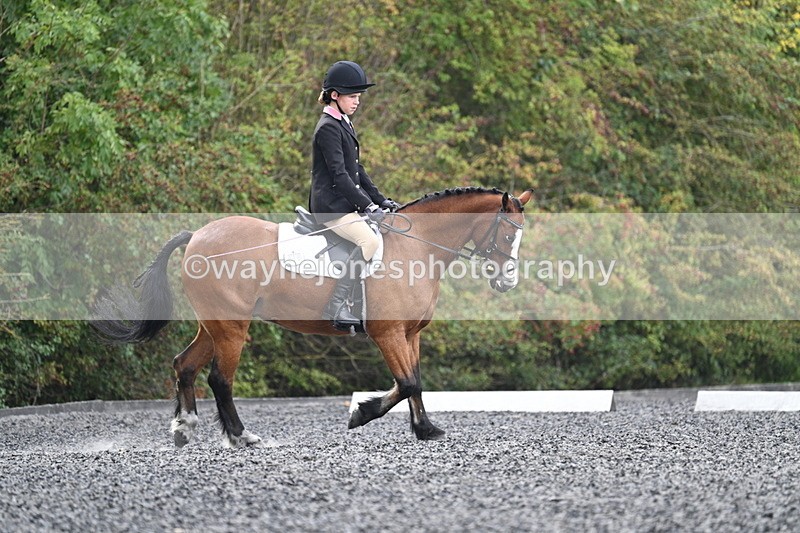 WJ7_3954 - Time 11:04 to 11:38