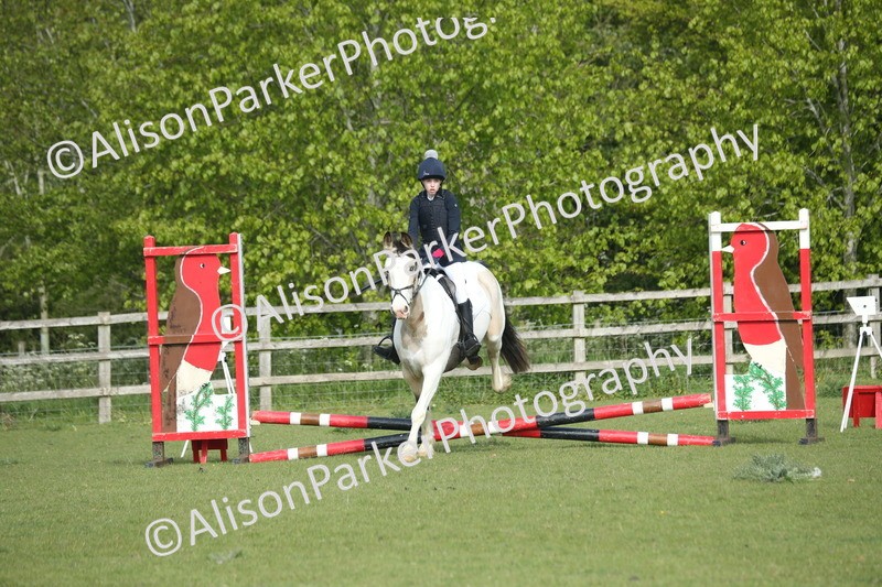 20260426-0050 - Class 13 - Rookie Jumping 50cm