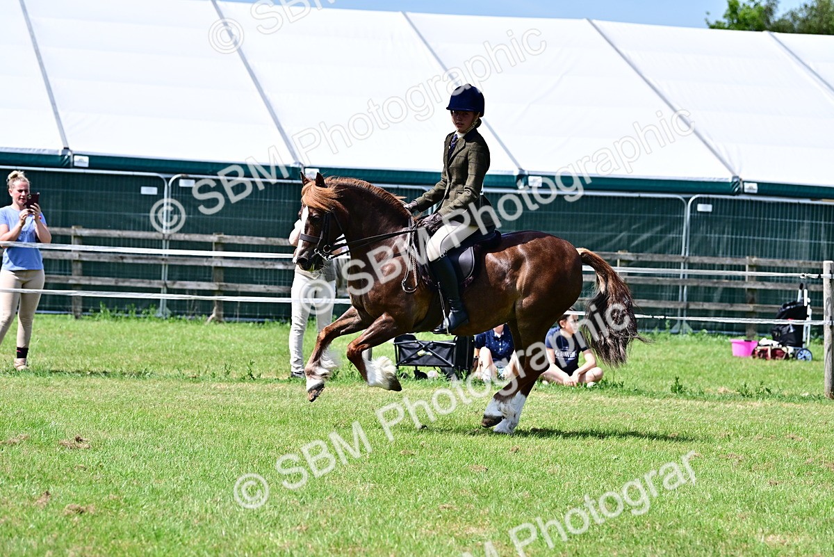 SBM_07914 - Class 61-62 - TSR  M&M Ridden Amateur of the Year