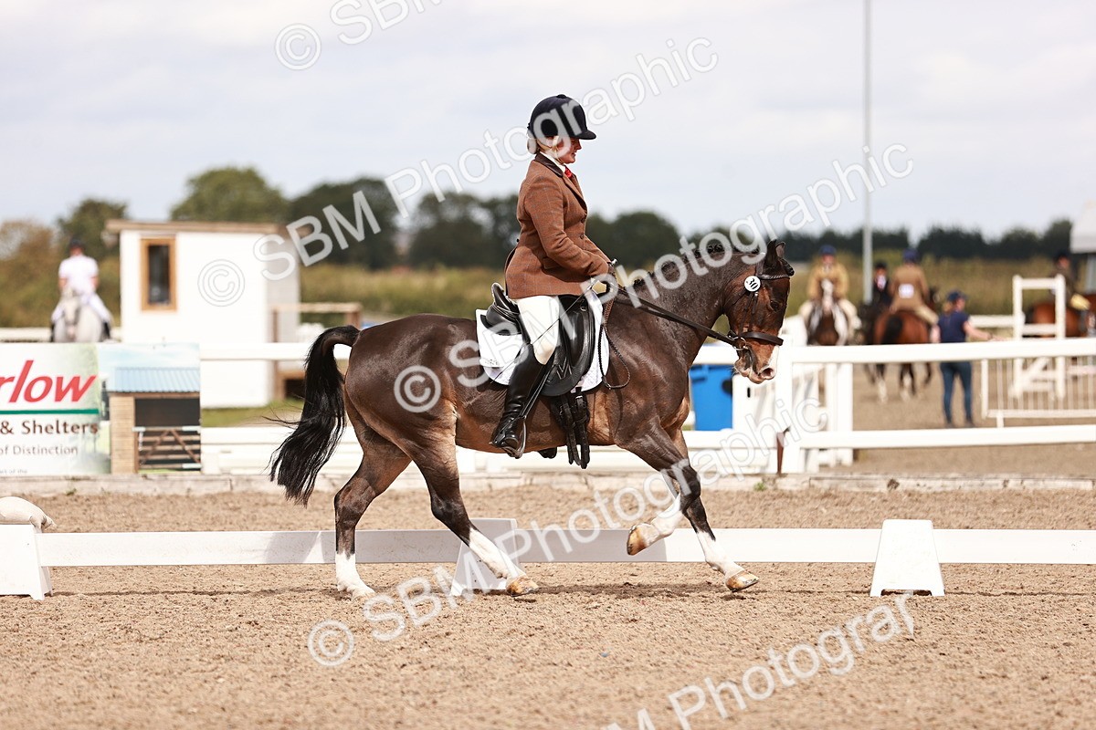 SBM_06238 - Class 37 - Novice 5