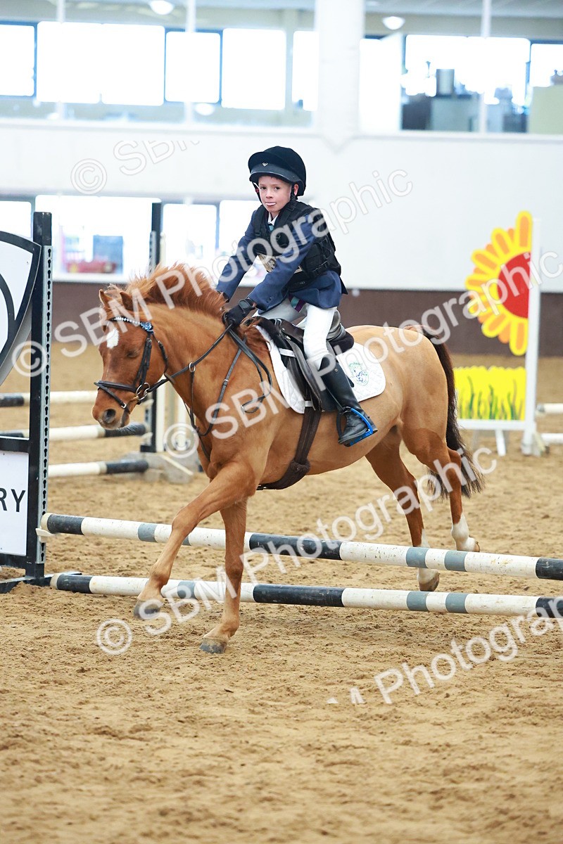 SBM_005742 - Class 2 - 50cm