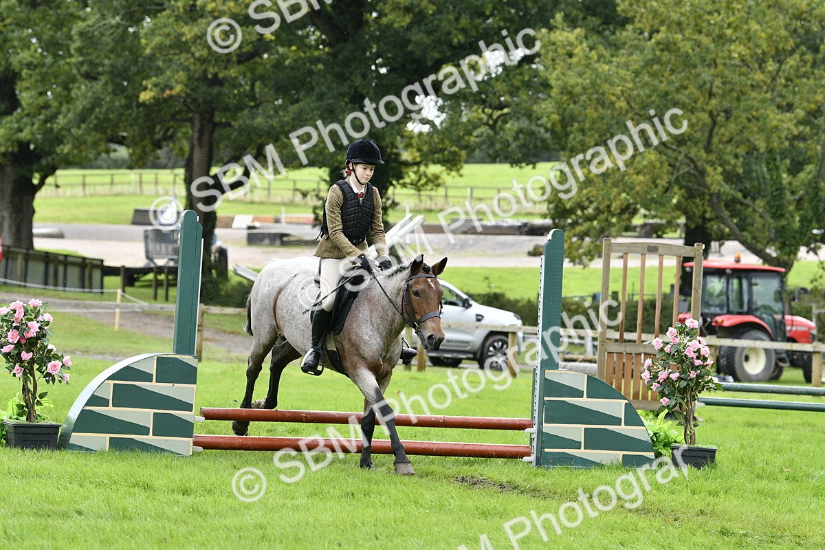SBM_41455 - S32 - Mountain & Moorland Working Hunter Pony