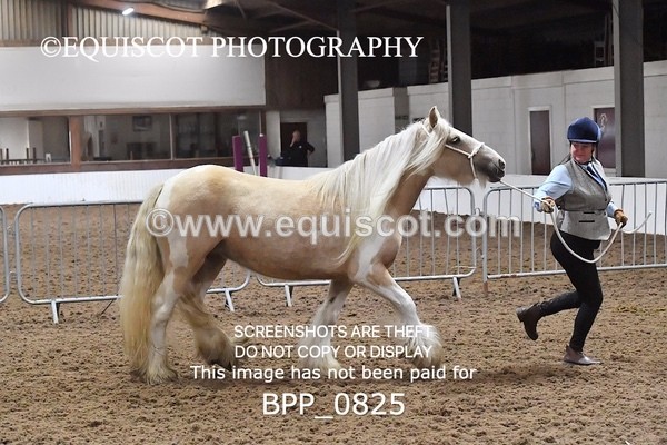 BPP_0825 - RING 2