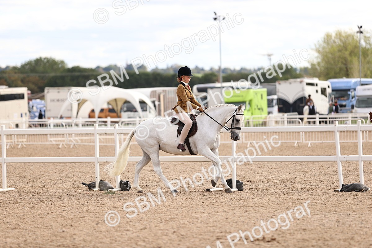 SBM_18104 - Class 422 - Equitation (Best Rider) Jnr