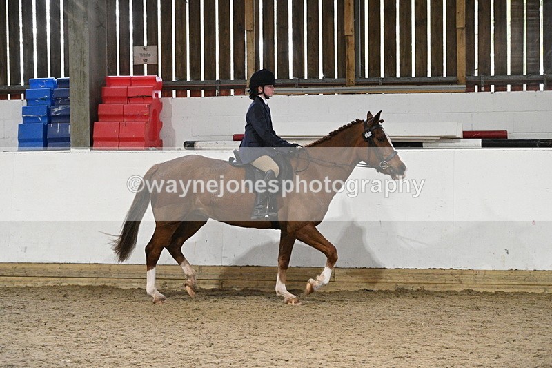 WJ7_4109 - Class 17 Ridden Cob