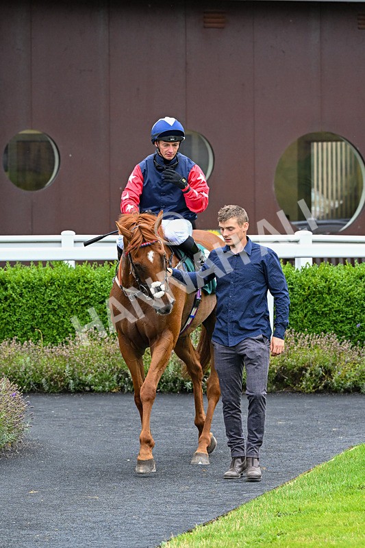 170826-Race 5-Our Absent Friends-9805 - Race 5 16.15pm racingtv.com Handicap