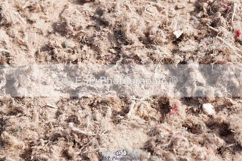 250503-101734-00163 - Cls 17+18 Club and Schools 60cm