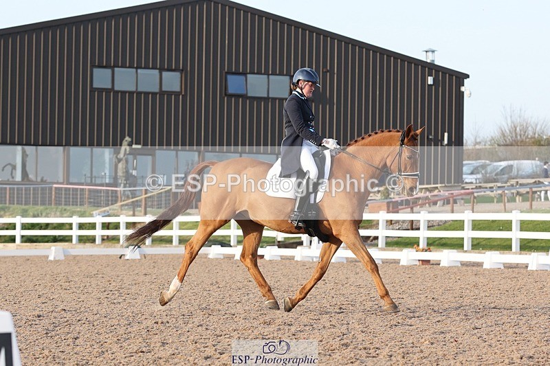 250404-183749-08304 - 135-Megan.Field-Bright.Time