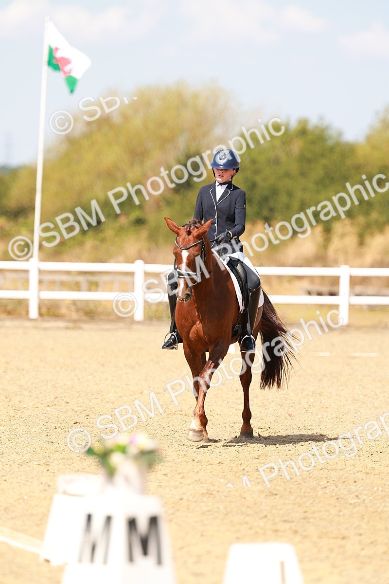 SBM_018343 - Class 9 - N5 Bronze 11.57.13.07