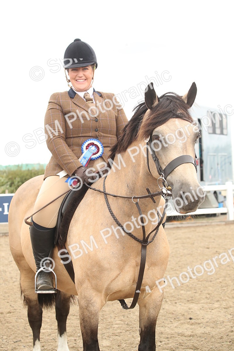 SBM_16697 - Class 507a - Working Veteran - 60cm (15-19)