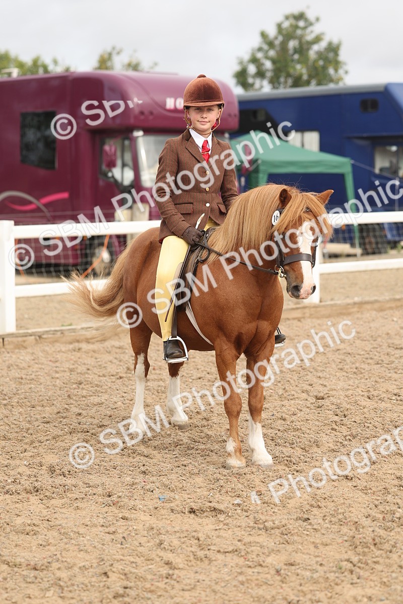 SBM_01985 - Class 14 - Ridden M&M Wildcard