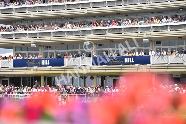 yr08072022r1 -15 - Race 1 2.05pm William Hill Best Odds Guaranteed Handicap Stakes