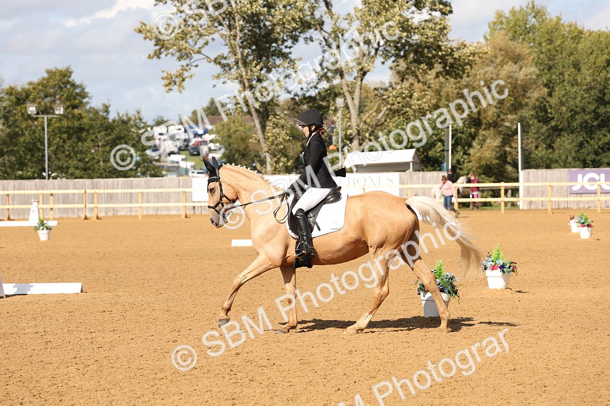 SBM_47400 - D12 - Small Tour Championship prelim 2