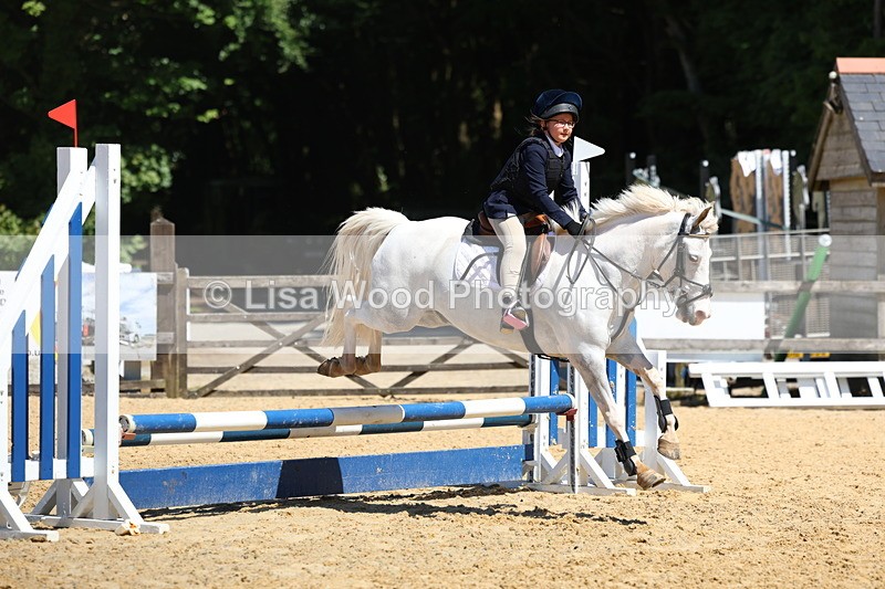 3E7A2334 - Class 4/5: 60cm Open Teams and Individuals