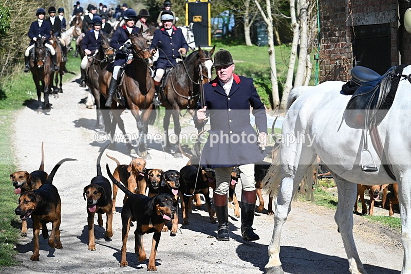 WJ7_9670 - Home for hunt tea !