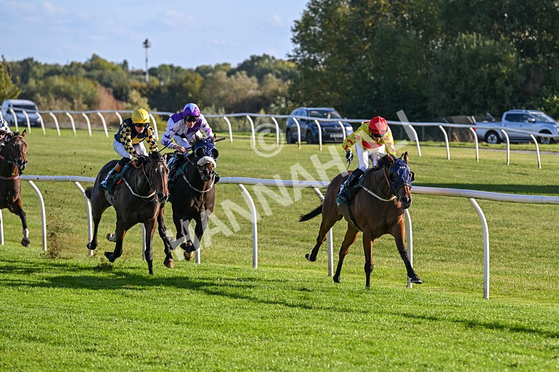 300926-Race 5-Vince Le Prince-6731 - Race 5 4.15pm Bet At racingtv.com Handicap (Div II)