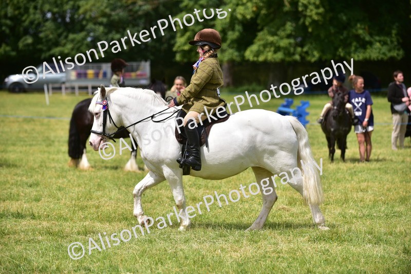 20260614-3657 - Class 15 - Prettiest Mare