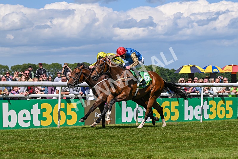 080624-Race 3-Shareholder-1036 - Race 3