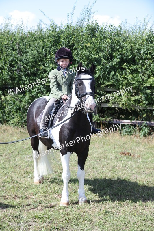 20250831-2545 - Class 16 - Family Pony