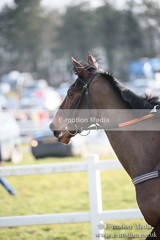 PtP 170219 -631 - Combined Services Point-To-Point Larkhill 17/02/19