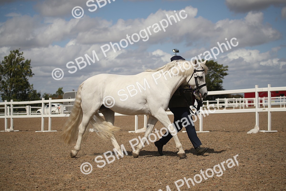 SBM_23190 - Class 606 - 2026 - Area - IH Pre Vet