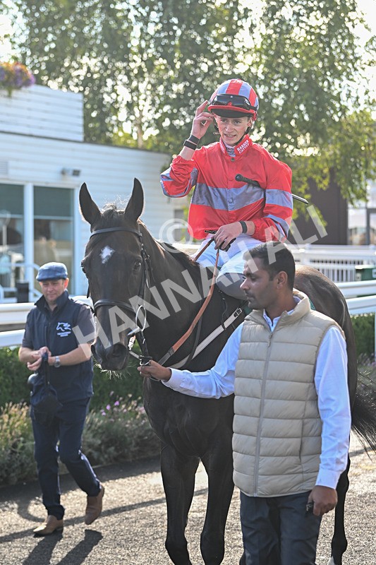 090925-Race 5-Dream Deal-9299 - Race 5