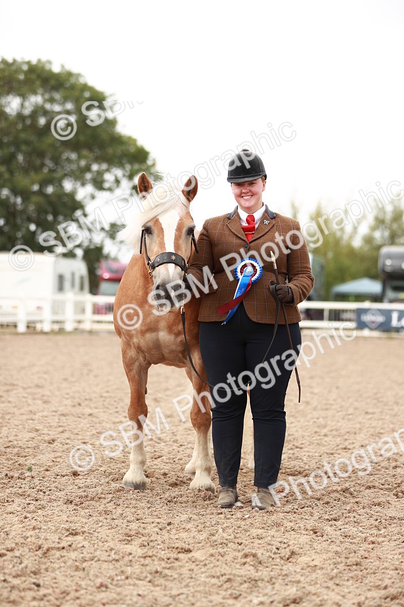 SBM_11925 - Class 206 IH Non Show Type Pony