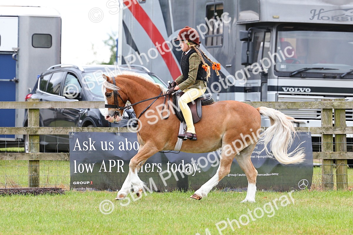 SBM_08745 - Class 42-43 - LIHS BSPS Heritage Working Sports Pony