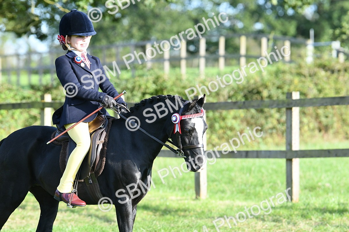 SBM_52367 - S22 - 1st Ridden Show & Show Hunter Pony
