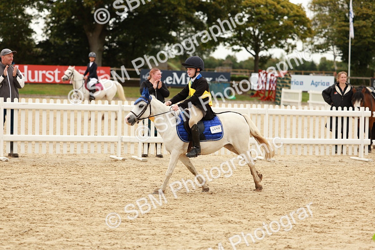 SBM_58121 - J11 - Junior Pony 50cm Championship