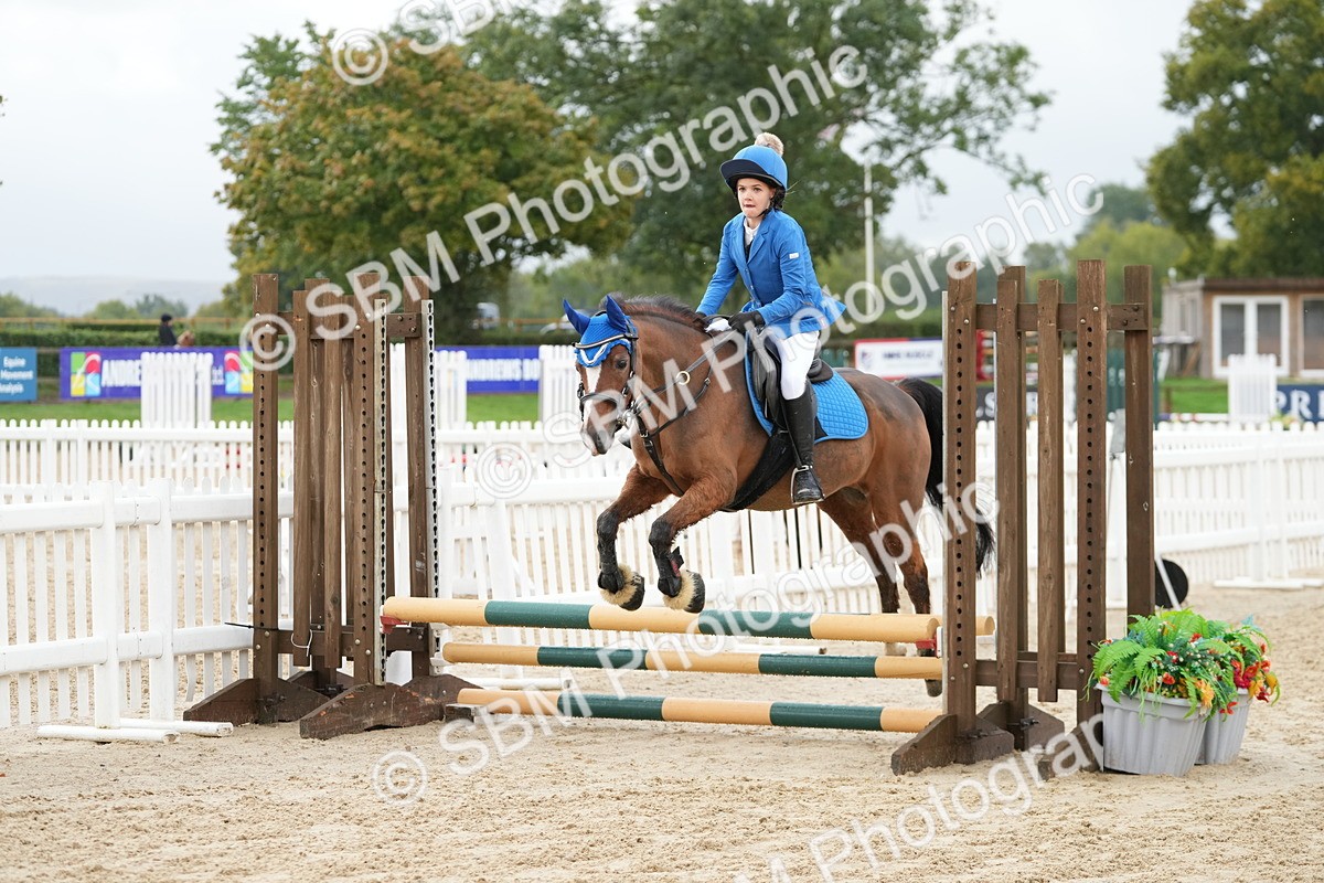 SBM_32401 - J5 - Junior Pony 50cm Championship