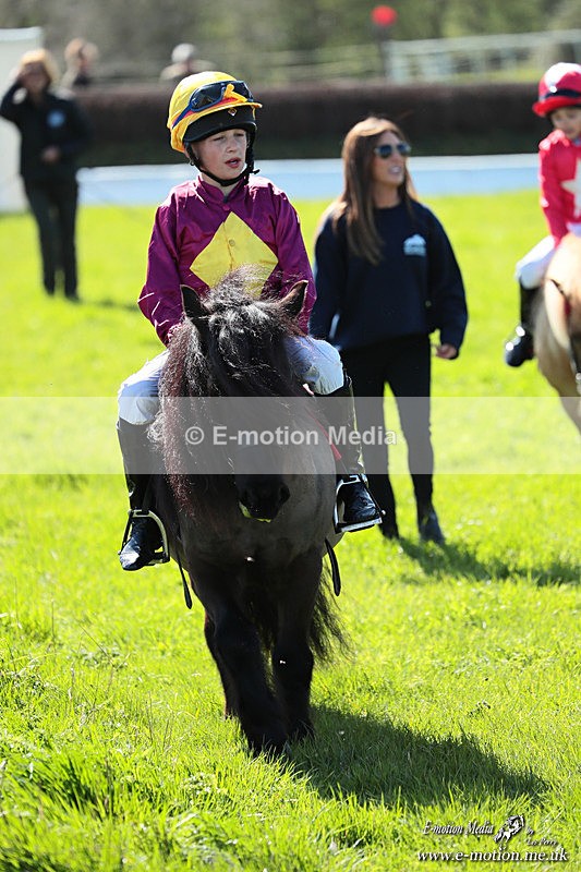 Shet 060426 224 - Shetland Pony Racing Paxford Races Easter Mon 06/04/26