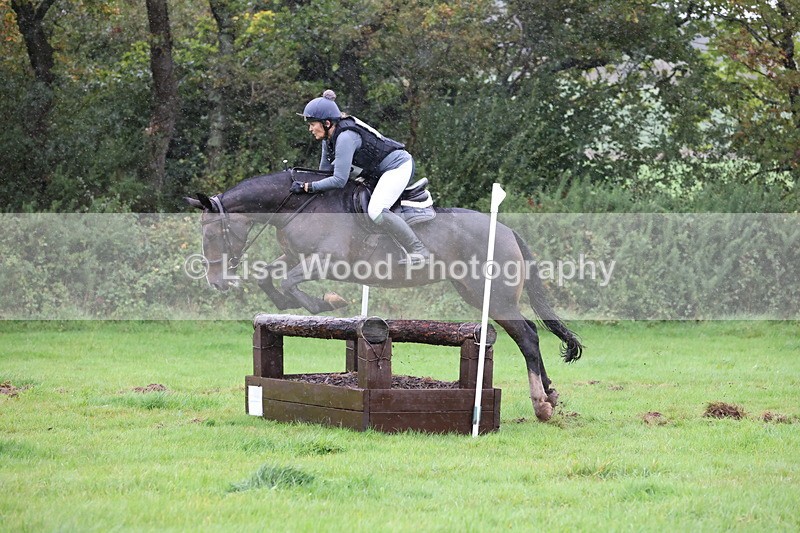 JPP_5438 - Class 4: 80cm: Crossed Logs