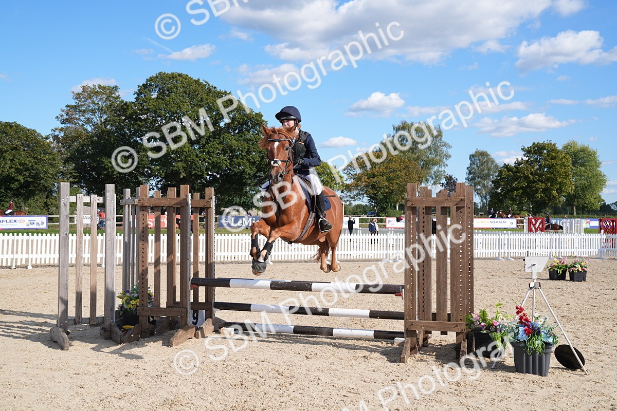 SBM_26019 - J61 - Clear Round 75cm & 85cm