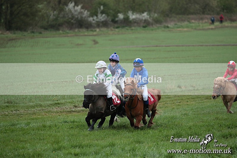 SHETPR 210425 170 - Shetland Ponies Paxford Races 21/04/25