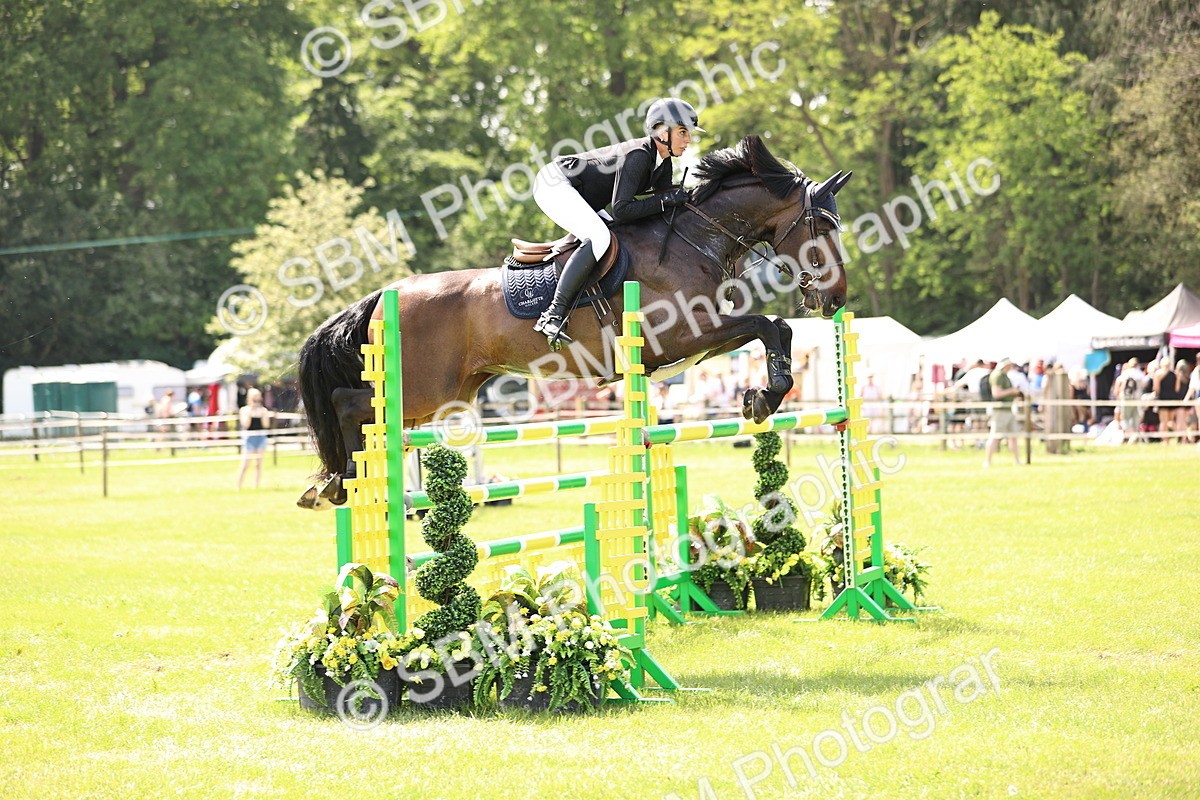 SBM_03215 - Class 201 - British Horse Feedds Speedi Beet HOYS Grade C